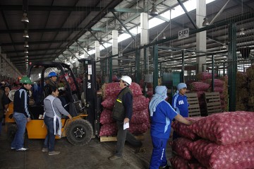 Mercado Mayorista Mercado Mayorista