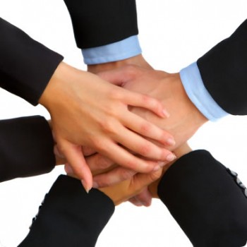 organizacional
